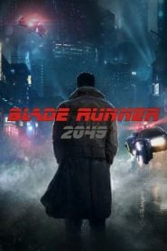 Blade Runner (2017) Bangla Subtitle – ইকোসিস্টেম ধ্বংস হয়ে যাওয়ার পর কি ঘটবে