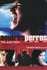 Amores Perros (2000) Bangla Subtitle – ‘বেষ্ট ফরেইন ল্যাঙ্গুয়েজ মুভি’ ক্যাটাগরিতে অস্কার মনোনিত একটি মুভি