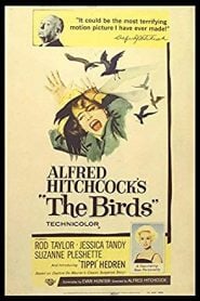 The Birds (1963) Bangla Subtitle – মুভির মধ্যে চাপা একটা কৌতুহল সবসময় খুজে পাবেন