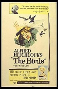 The Birds (1963) Bangla Subtitle – মুভির মধ্যে চাপা একটা কৌতুহল সবসময় খুজে পাবেন