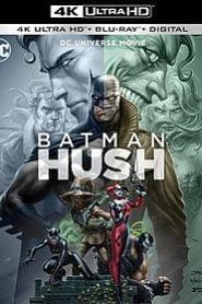 Batman: Hush (2019) Bangla Subtitle – এই মুভিতে ব্যাটম্যানকে এক নতুন ভিলেনের সাথে লড়তে দেখা যায় যার নাম “হাশ”