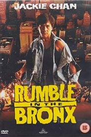 Rumble in the Bronx (1995) Bangla Subtitle – রাম্বল ইন দ্য ব্রঙ্কস বাংলা সাবটাইটেল