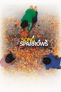 The Song of Sparrows (2008) Bangla Subtitle – দ্য সং অব স্পেরোস বাংলা সাবটাইটেল