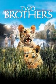 Two Brothers (2004) Bangla Subtitle – টু ব্রাদার্স বাংলা সাবটাইটেল