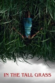 In The Tall Grass (2019) Bangla Subtitle – ইন দ্য টল গ্রাস বাংলা সাবটাইটেল