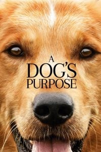 A Dog’s Purpose (2017) Bangla Subtitle – এ ডগ’স পারপোস বাংলা সাবটাইটেল