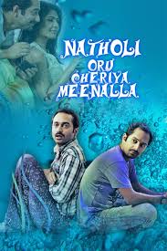 Natholi Oru Cheriya Meenalla (2013) Bangla Subtitle – নাথোলি ওরু চেরিয়া মিনাল্লা মুভিটির বাংলা সাবটাইটেল