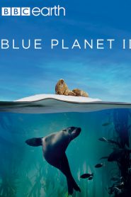 Blue Planet II Bangla Subtitle – ব্লু প্ল্যানেট টু বাংলা সাবটাইটেল