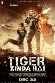 Tiger Zinda Hai (2017) Bangla Subtitle – টাইগার জিন্দা হ্যায়