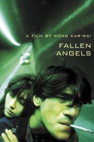 Fallen Angels (1995) Bangla Subtitle – (Do lok tin si)