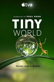 Tiny World Bangla Subtitle – টাইনি ওয়ার্ল্ড