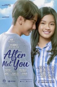 After Met You (2019) Bangla Subtitle – আফটার মিট ইউ