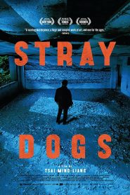 Stray Dogs (2013) Bangla Subtitle – (Jiao you)