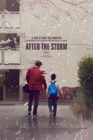 After the Storm (2016) Bangla Subtitle – আফটার দ্যা স্টর্ম