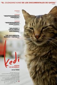 Kedi (2016) Bangla Subtitle – কেদি