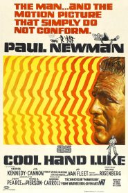 Cool Hand Luke (1967) Bangla Subtitle – কুল হ্যান্ড লুক