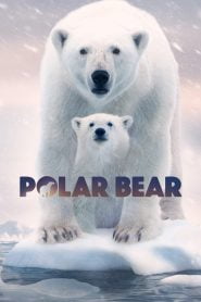 Polar Bear (2022) Bangla Subtitle – পোলার বেয়ার