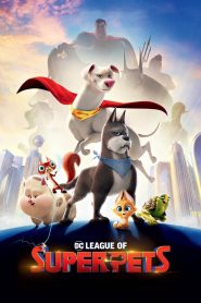 DC League of Super-Pets (2022) Bangla Subtitle – ডিসি লীগ অফ সুপার পেটস