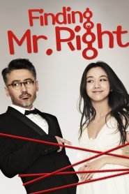 Finding Mr. Right (2013) Bangla Subtitle – ফাইন্ডিং মিস্টার রাইট